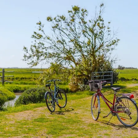 La Maison Du Marais - Parking - Jardin * Bouin (Vendee)
