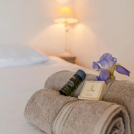 La Marais - Parking - Jardin ブワン