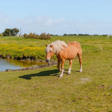 La Marais - Parking - Jardin 別荘