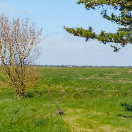 Tatil Evi La Maison Du Marais - Parking - Jardin Bouin (Vendee)