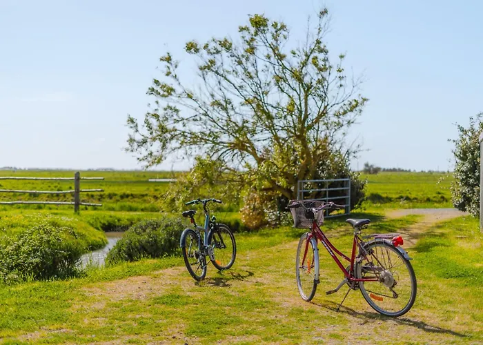 La Maison Du Marais - Parking - Jardin * Bouin (Vendee)