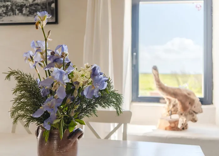 La Maison Du Marais - Parking - Jardin Bouin (Vendee)