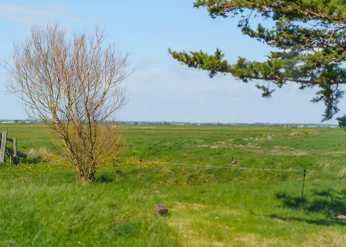 La Maison Du Marais - Parking - Jardin