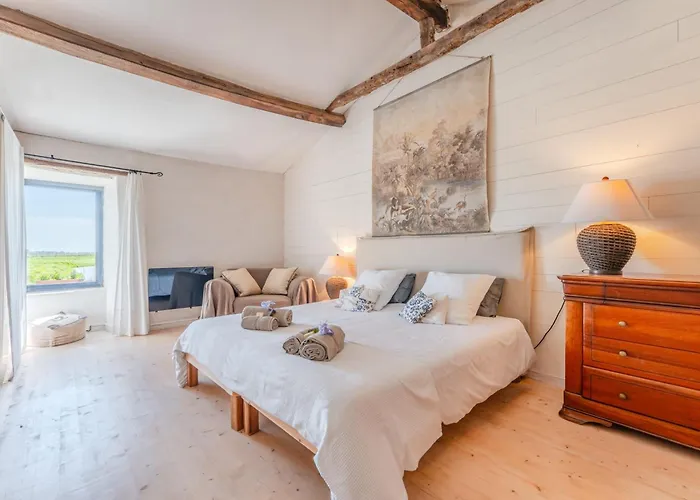 Tatil Evi La Maison Du Marais - Parking - Jardin