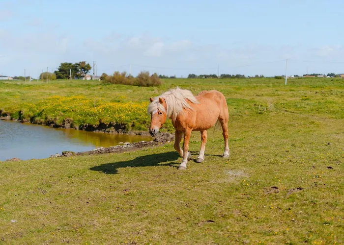 La Maison Du Marais - Parking - Jardin Tatil Evi