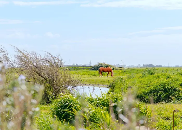 La Maison Du Marais - Parking - Jardin בית נופש *