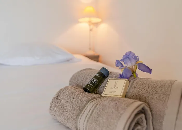 La Maison Du Marais - Parking - Jardin Tatil Evi